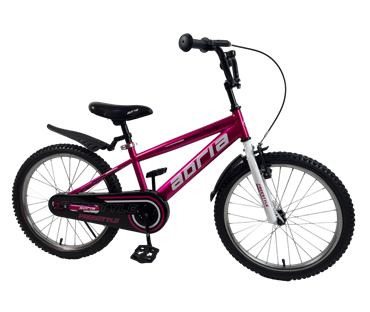 G20BA607 BICIKL ADRIA ROZO 20"