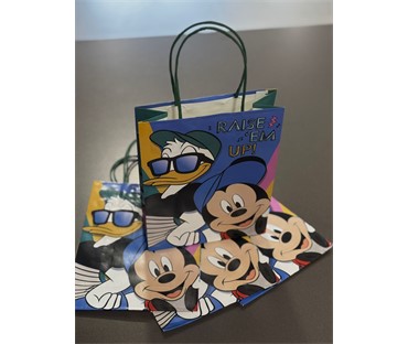 12080 VREĆICA 18x8x24 DISNEY